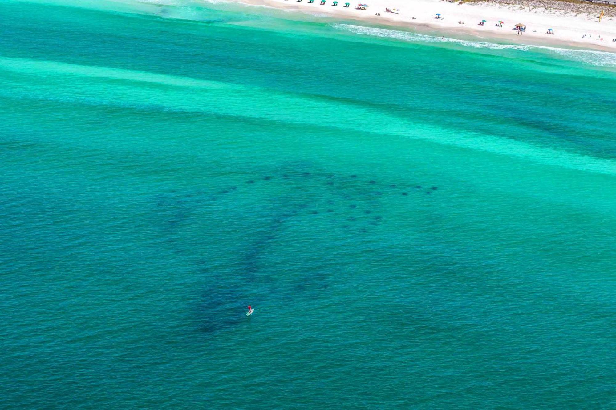Ariel Dunes I 1307 Destin Eksteriør billede